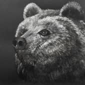 Медведь, художник Кристина Кристовских