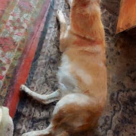 Ещё живая лиса