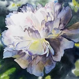 "Пион в июньском саду"