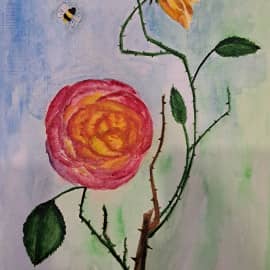 Розы, как они есть