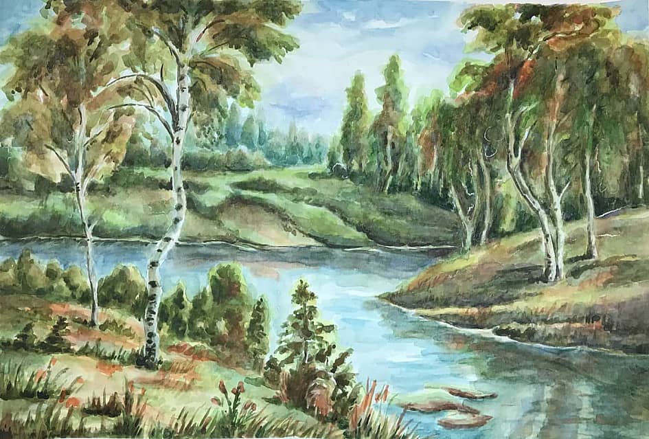 Березки на берегу реки.