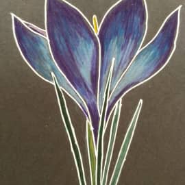 Папоротник