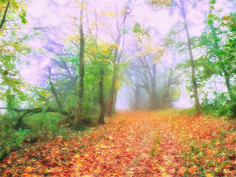 Дороги осени.