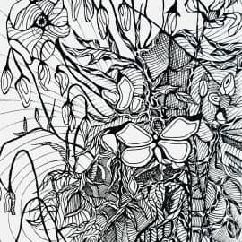 Маки и бабочки