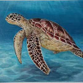 Навстречу к морю