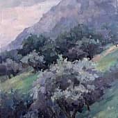 Оливы в пасмурный день. Город Столив Черногория