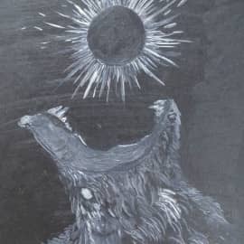 Поглощение