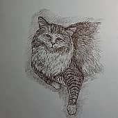 Пушистый кот