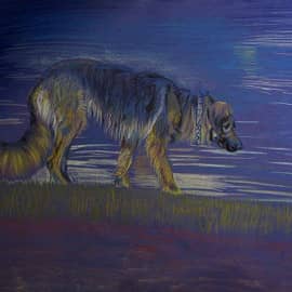 Все женщины везде одинаковы...