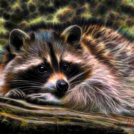 Животные 012