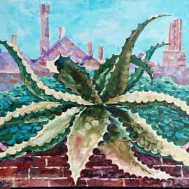 Алоэ на балконе