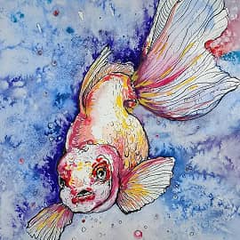 Любопытная рыбка