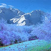 В предгорье.