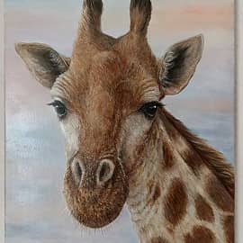 Взгляд с высоты