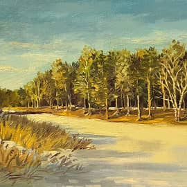 Теплый зимний день