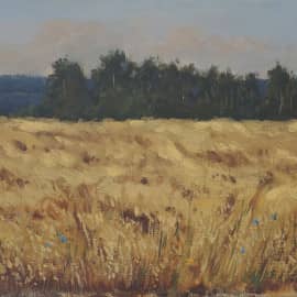 Август. Поле.