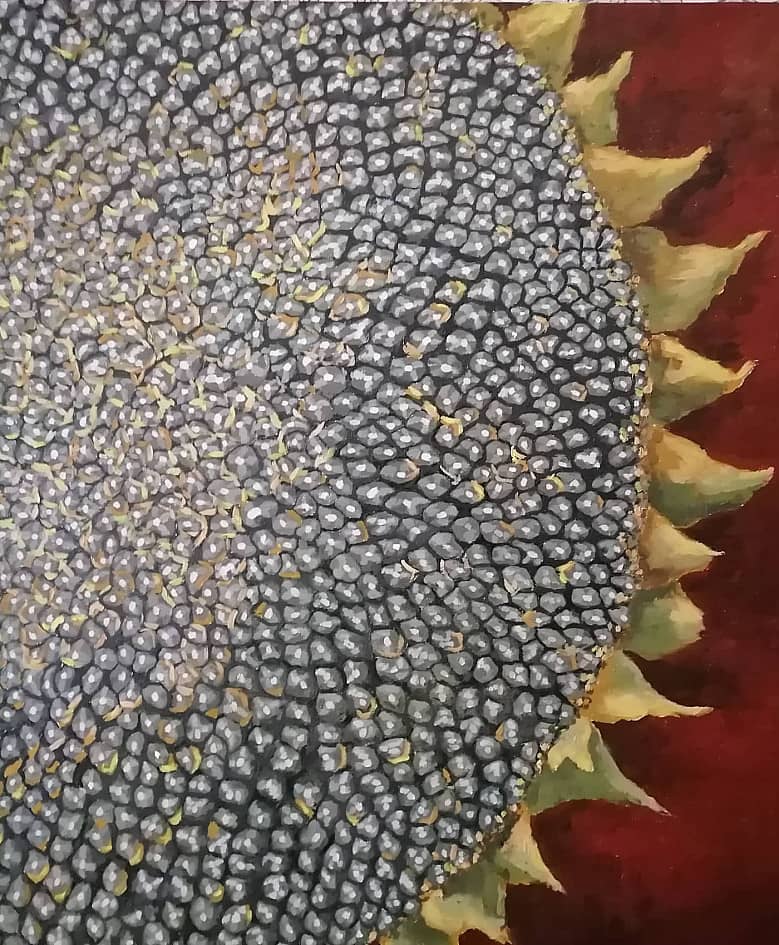 Подсолнух 1