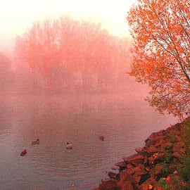 цветные туманы осени-4