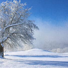 Зимний туман