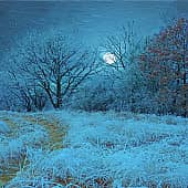 Лунная ночь.