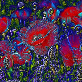 Светографика Маки