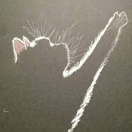 Розовые ушки