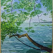 Ива над Волгой