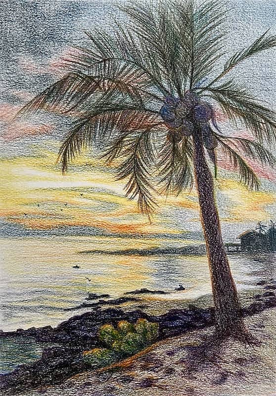 Фукуок. Пальма. Скетч.