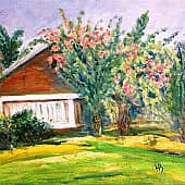 На берегу моря. Вьетнам.