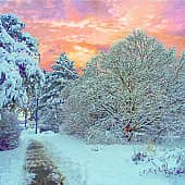 Дорожка в снегу.