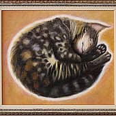 Котя (1), художник Ирина Стукова