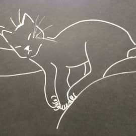 Спят усталые "игрушки"