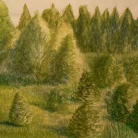 Опушка леса