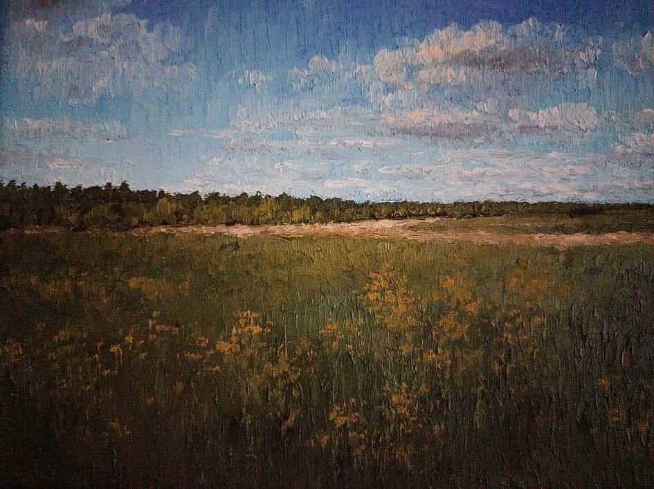 Поле родной стороны