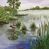 Тихая заводь