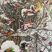 Зимний шиповник