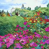 Летний сад.