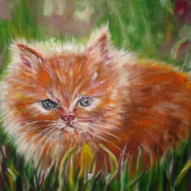 Рыжий котик.