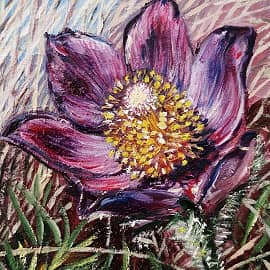 Подснежник