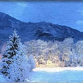 Озеро зимой., художник Alex-08