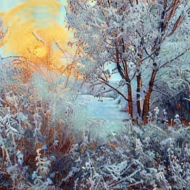 Зимнее утро