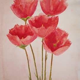 "Опять маки"