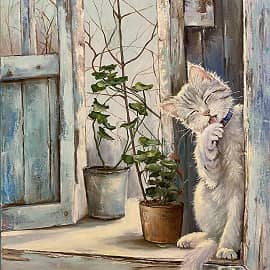 Котя