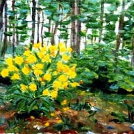 В лесопарке. Сокчо.