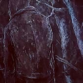 "Мужчина без канареек"