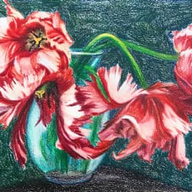 Махровые тюльпаны