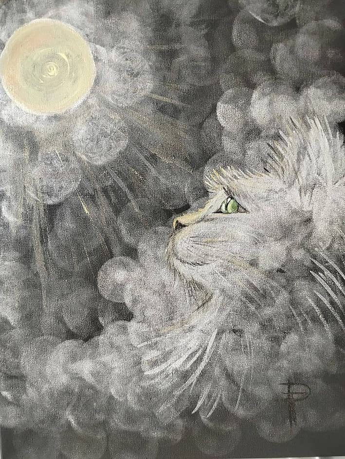 Кошка смотрящая на солнце