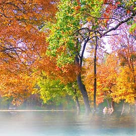 Туманный берег.