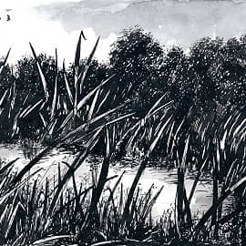 Скоро осень  Autumn is Coming Soon