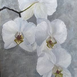 Веточка орхидеи